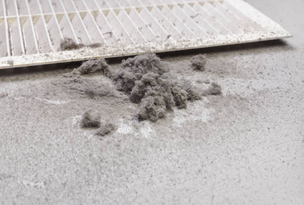 Best Residential Air Duct Cleaning  in Belle Mead, NJ