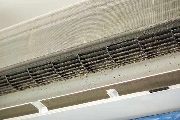 Best Professional Duct Cleaning Services  in Belle Mead, NJ